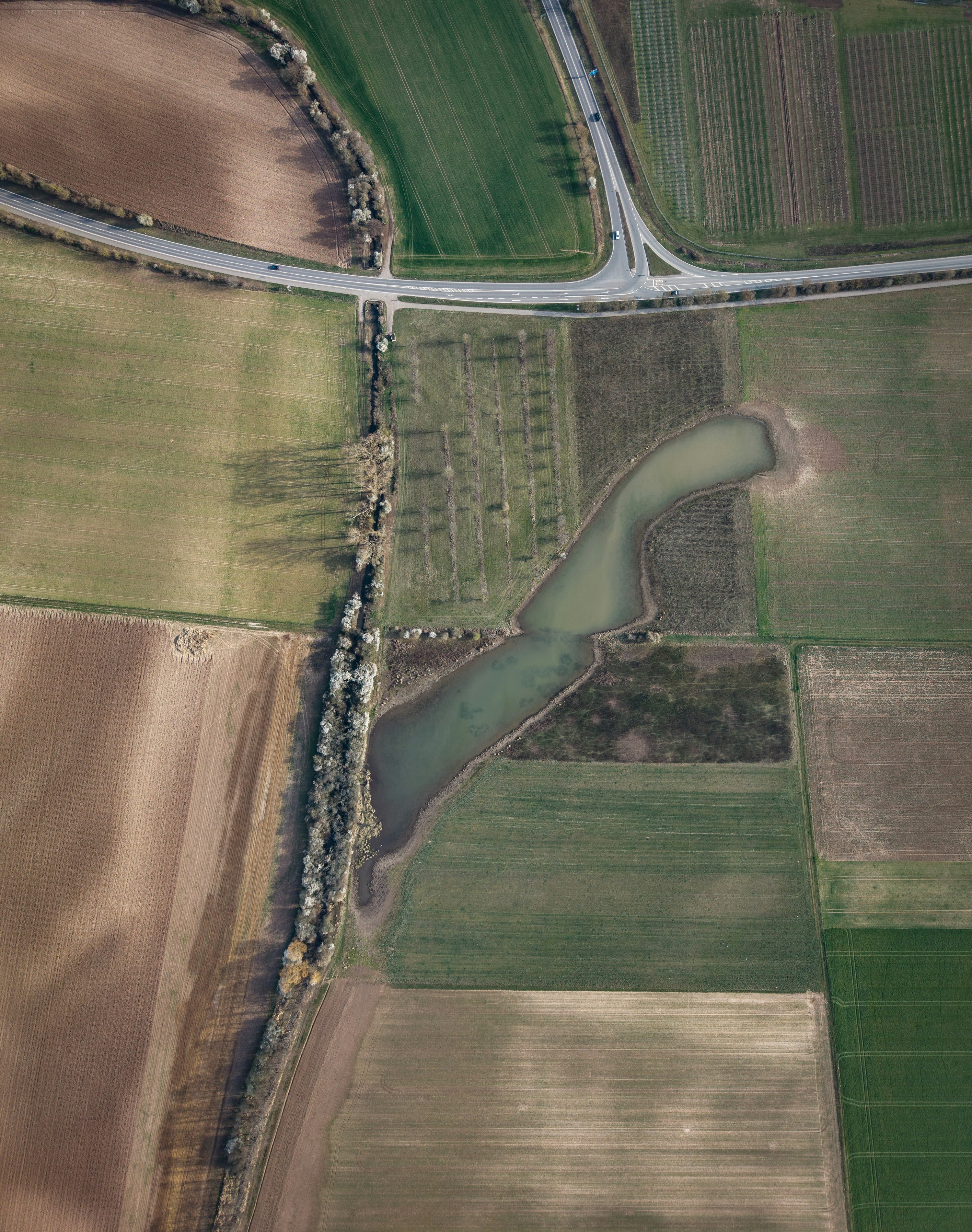 Aerial orthomosaic survey map